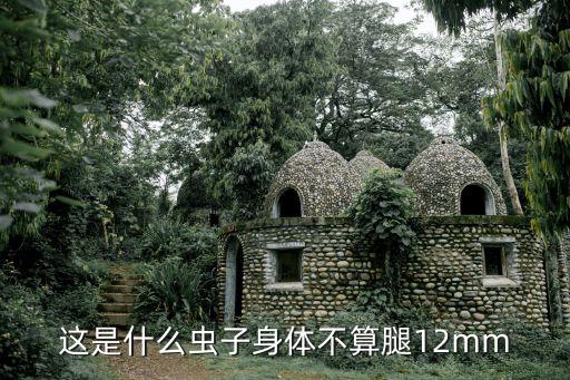 裸蛛甲，六肢 褐色翅膀 绿褐身体