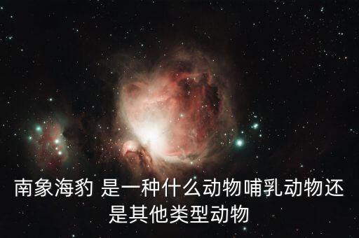 南象海豹 是一种什么动物哺乳动物还是其他类型动物