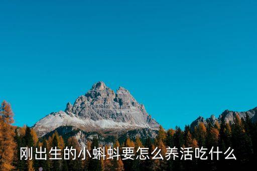 蝌蚪怎么养，蝌蚪怎么养