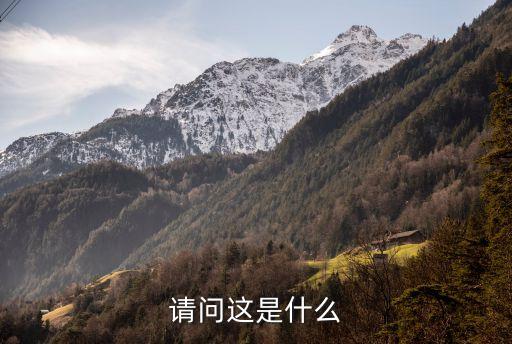 请问这是什么