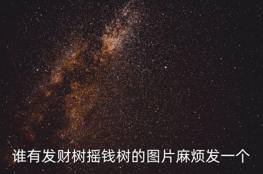 发财树的图片大全，发财树的图片及发财树方面知识