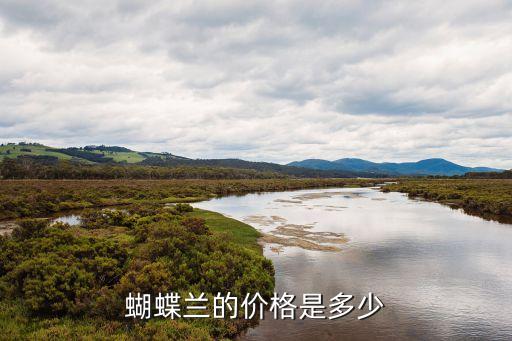 蝴蝶兰价格，蝴蝶兰多少钱一株  蝴蝶兰价格介绍