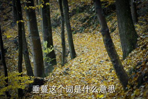 垂蔓，垂蔓的拼音是什么