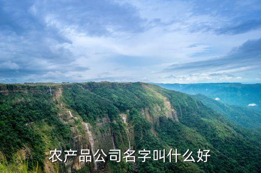 农产品公司名字叫什么好