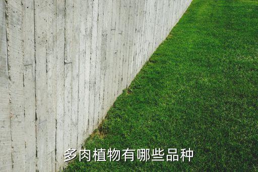 多肉有多少种品种，多肉植物有哪些品种