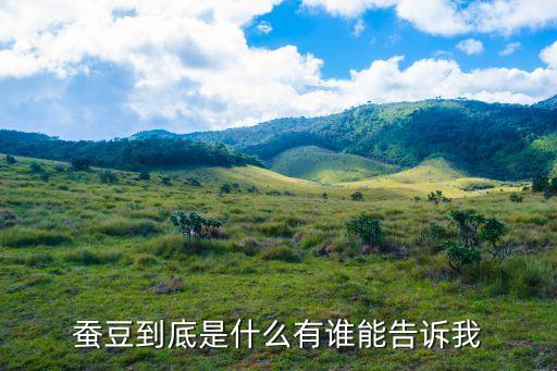 蚕豆到底是什么有谁能告诉我