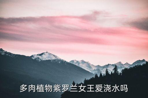 紫罗兰女王，多肉植物紫罗兰女王和莎莎女王的区别