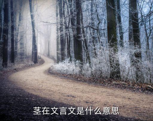 茎在文言文是什么意思