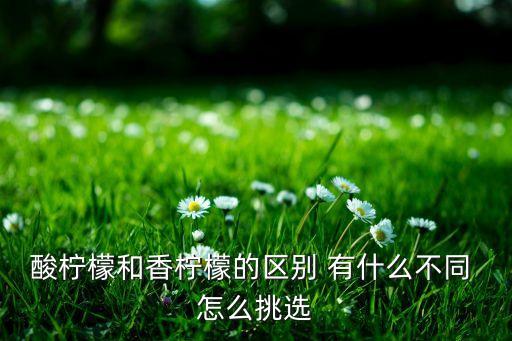 香柠檬，香水柠檬怎么吃