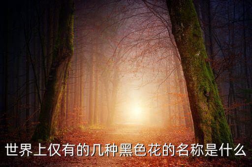 世界上仅有的几种黑色花的名称是什么