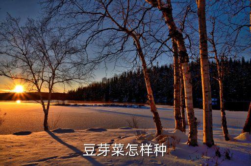 豆芽菜怎样种