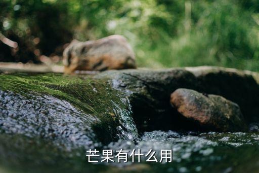 芒果有什么用
