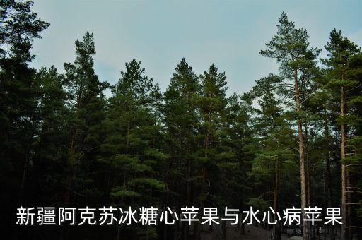 新疆阿克苏冰糖心苹果与水心病苹果