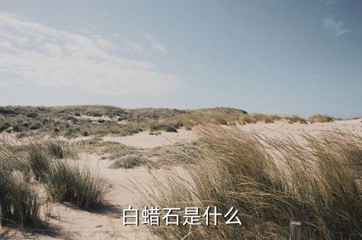 白蜡，白蜡是什么东西