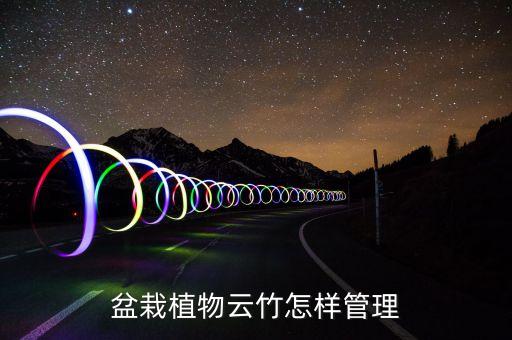 云竹盆景，盆栽植物云竹怎样管理