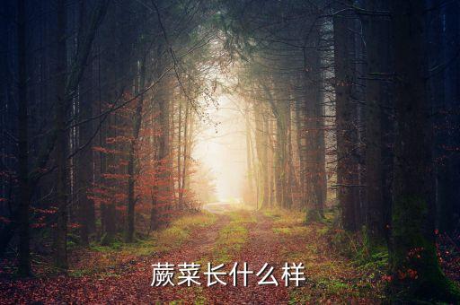 蕨菜长什么样图片，蕨菜长什么样
