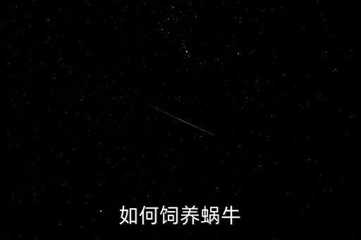 如何饲养蜗牛