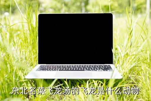 东北名菜飞龙汤的飞龙是什么动物