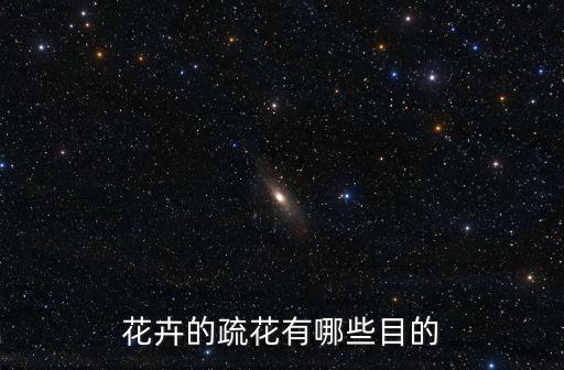 疏花，疏花什么东西什么意思