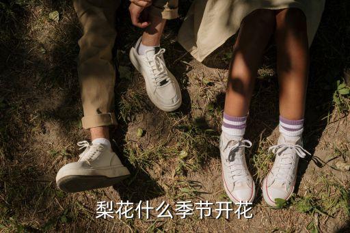 梨花什么季节开花
