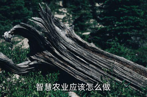 智慧农业应该怎么做