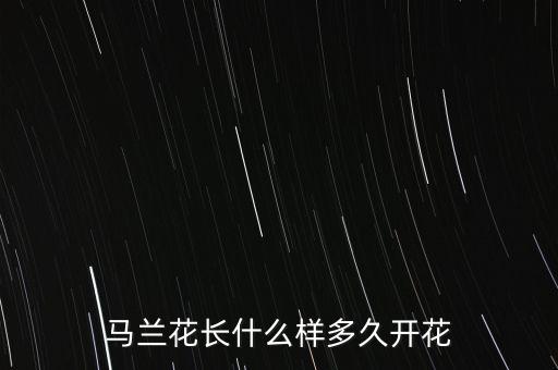 马兰花，请问马蓝花怎么养