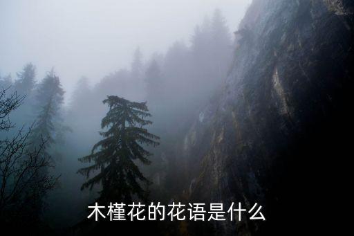 小木槿图片，木槿花的图片