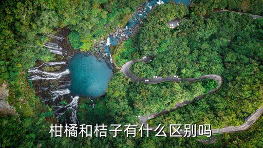 柑橘和桔子有什么区别吗
