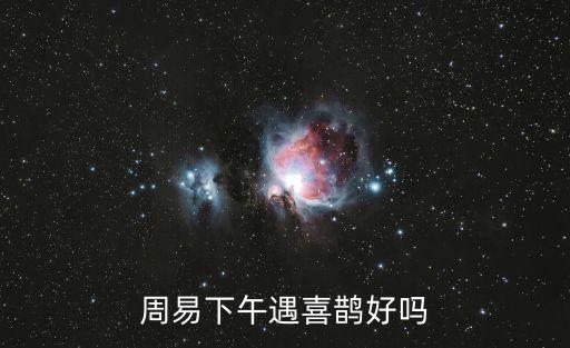 周易下午遇喜鹊好吗
