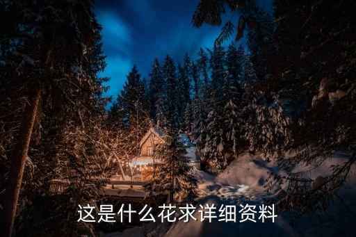 朱顶红图片，金陵十二钗图片