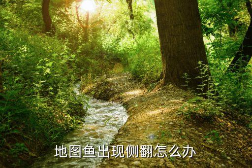 鱼侧身躺能救活吗，我家的小鱼为什么侧卧不动啊是不是快死了