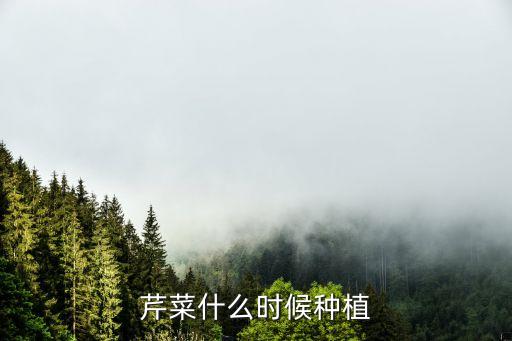 芹菜什么时候种植
