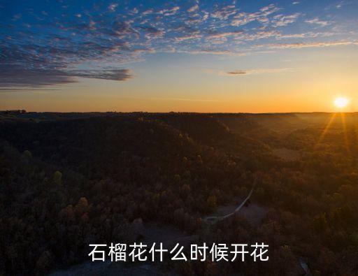 石榴花期，石榴在什么季节开花