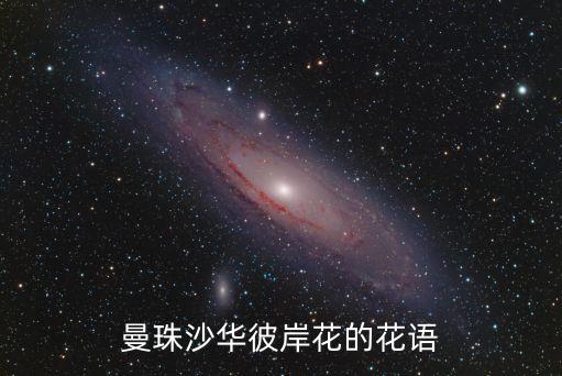 曼珠沙华花语，曼珠沙华的花语是