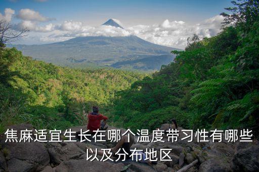 焦麻，谁给我准确地解释焦麻啦