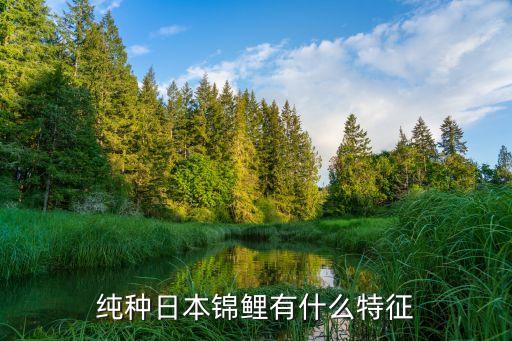 日本锦鲤，在冬天家里的日本锦鲤需要用加热棒吗
