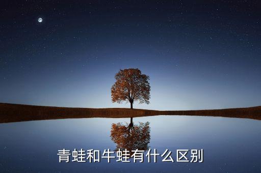 青蛙和牛蛙有什么区别