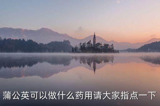 蒲公英可以做什么药用请大家指点一下