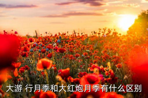 大游 行月季和大红炮月季有什么区别