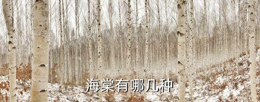 海棠品种，海棠有哪几种