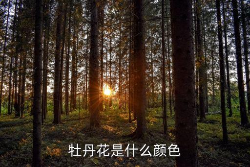 牡丹花有什么颜色，牡丹花有几种颜色