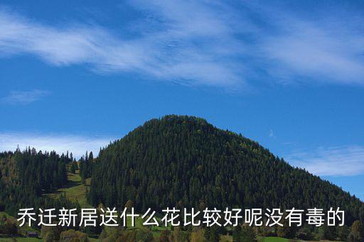 乔迁送什么花，祝贺乔迁之喜适合送什么花