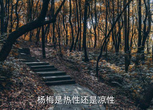 杨梅是热性还是凉性