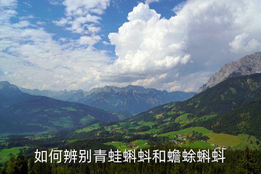 如何辨别青蛙蝌蚪和蟾蜍蝌蚪