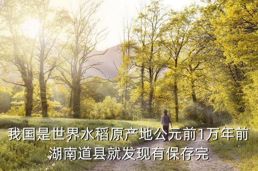 水稻原产地，稻米的产地与分布