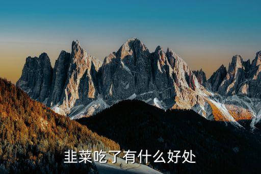 韭菜吃了有什么好处