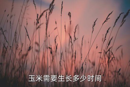 玉米生长周期，玉米的生长周期最短是多少天