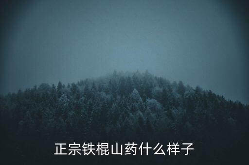 正宗铁棍山药什么样子