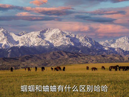 蝈蝈和蛐蛐有什么区别哈哈