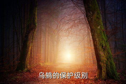 乌鸫的保护级别